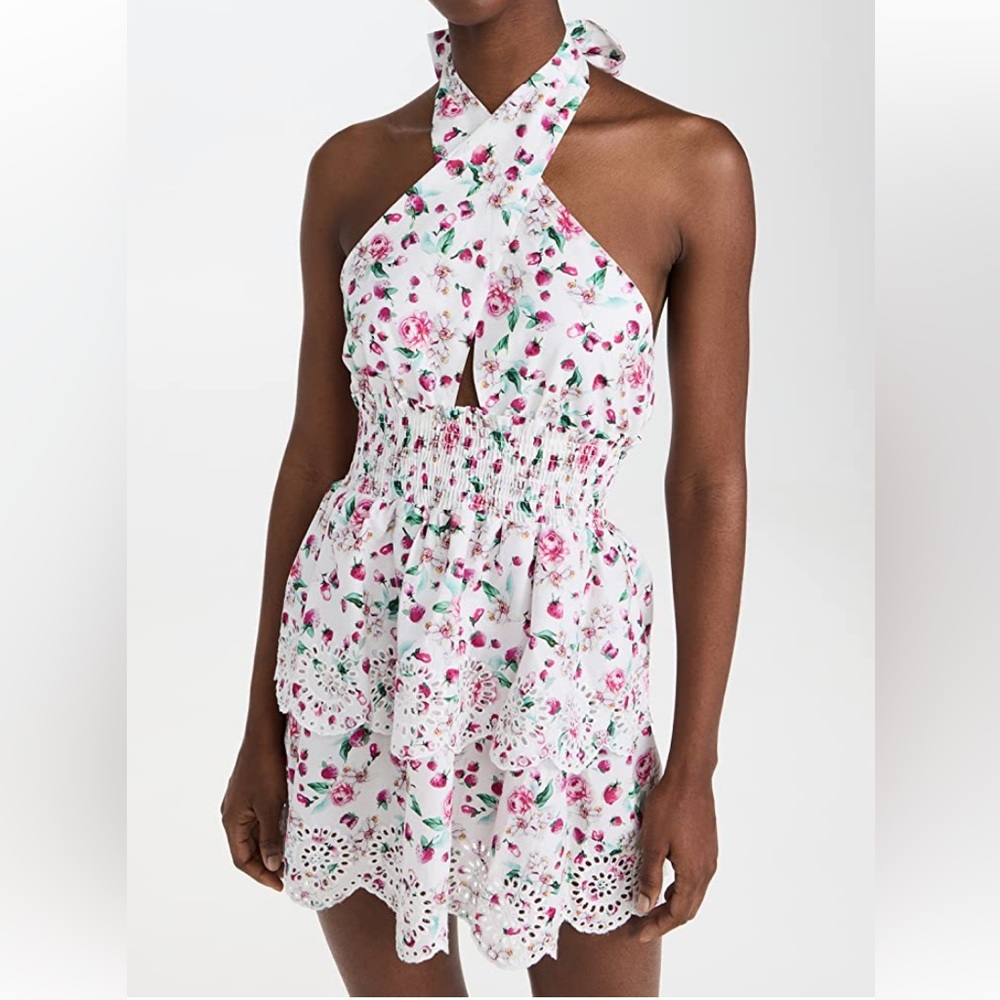 BB DAKOTA strawberry bliss dress Shopbop
